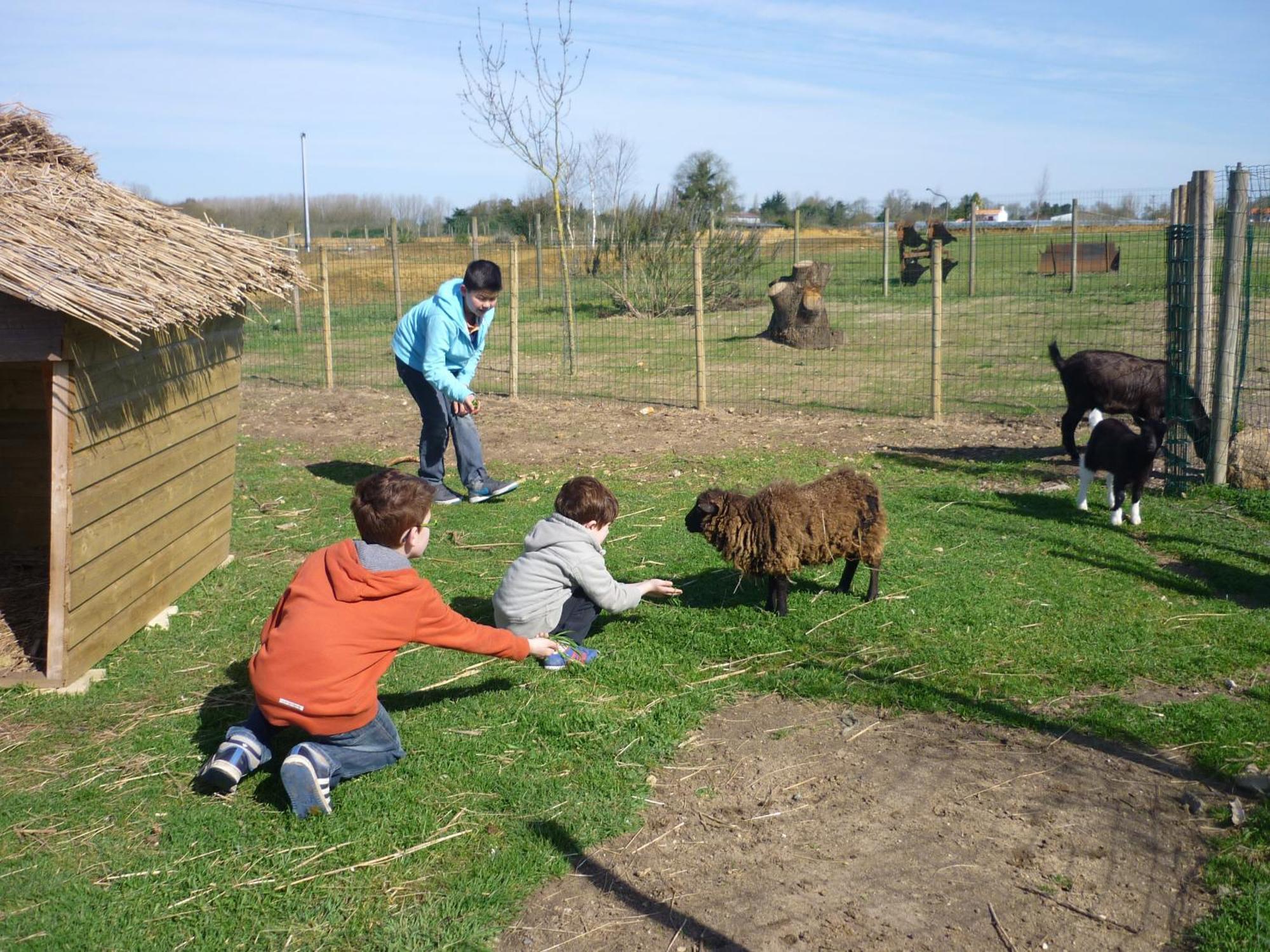 Camping Le Ragis Challans Exterior foto